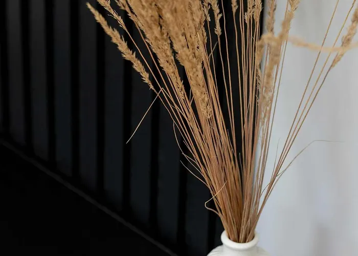 Unique In The Centre Of Close To The Old Town By Renters Daire *