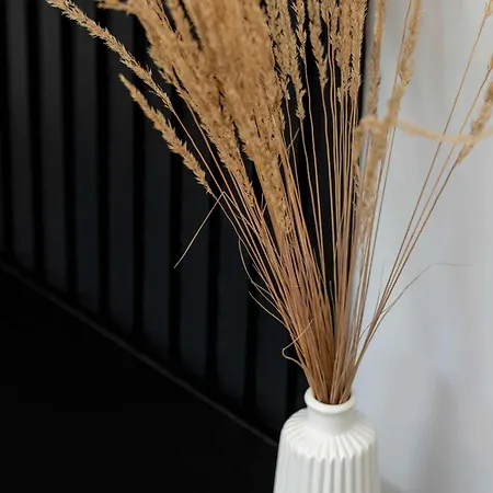 Unique In The Centre Of Close To The Old Town By Renters Apartmán *